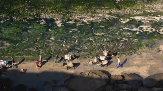 sandwar-bombay-donkey2